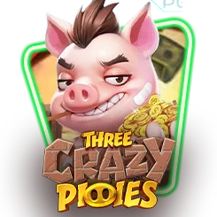 Three crazy pigies by betday789